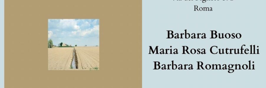 Presentazione di Espropriazioni di Barbara Buoso